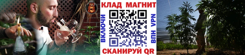 Где продают наркотики Алексин ГАШ  КОКАИН  СК  Марихуана  Мефедрон 