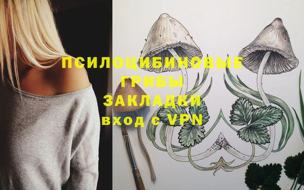 a pvp Алексеевка