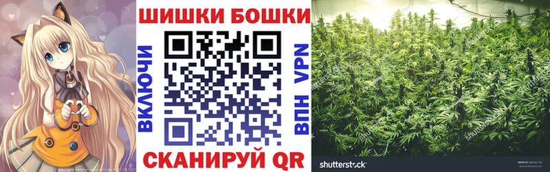 Конопля ГИДРОПОН  закладка  Алексин 